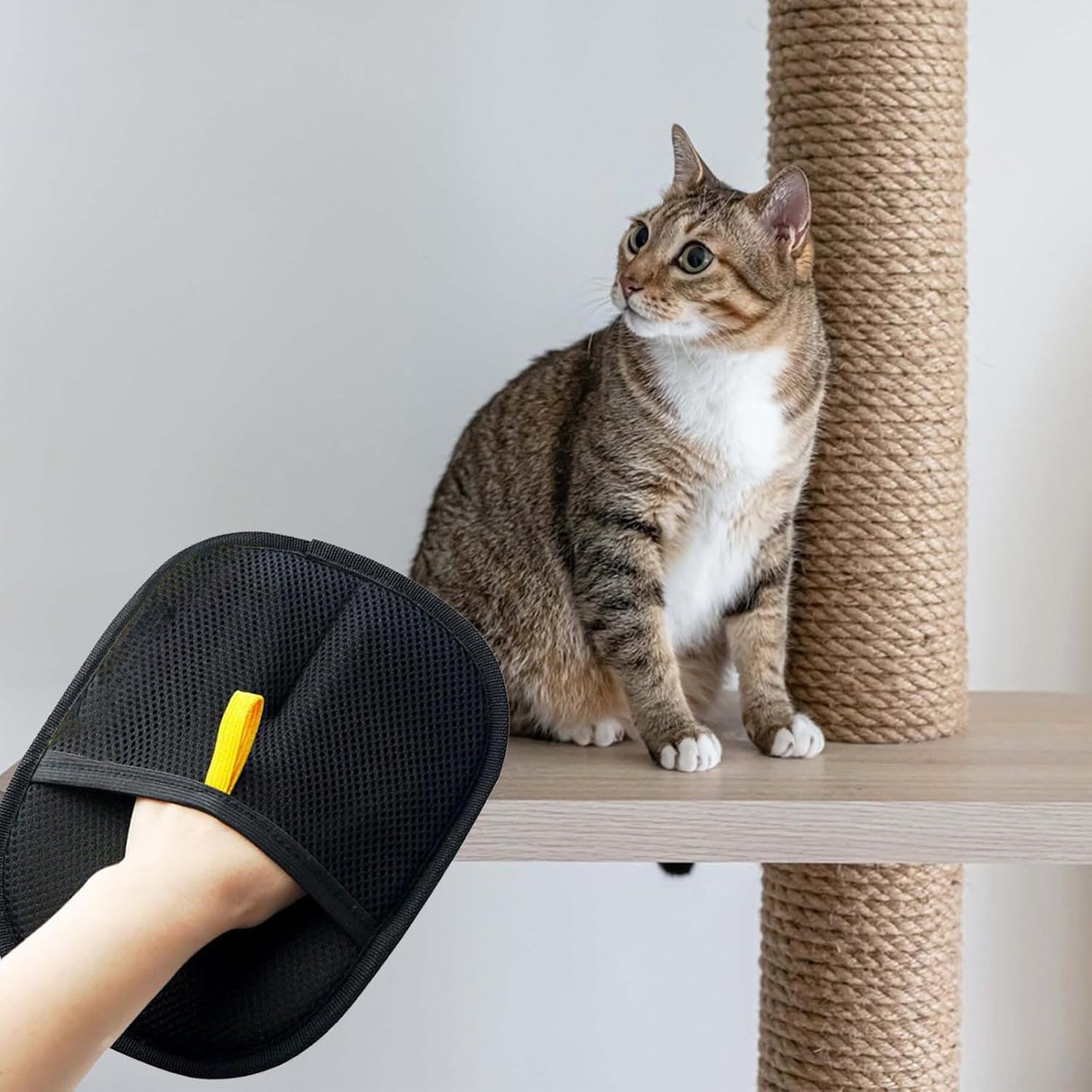 VoluPet™ Hair Removal Gloves