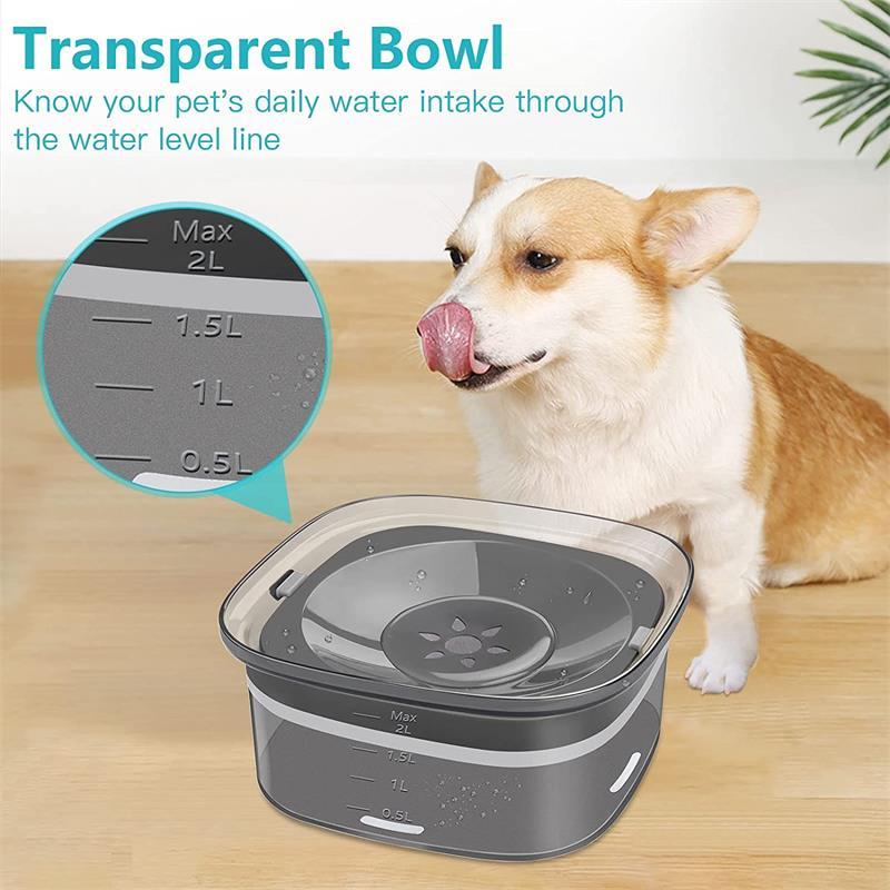 Pet Water Bowl - 2L Water Capacity along with Food capacity